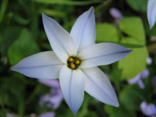 084094b9.jpg