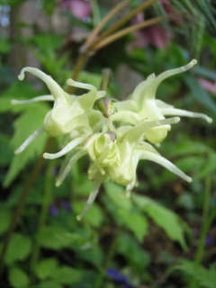70b97604.jpg