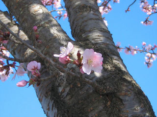 a548f03c.jpg