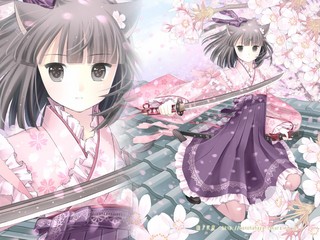 sakukoi_wall1024_768.jpg