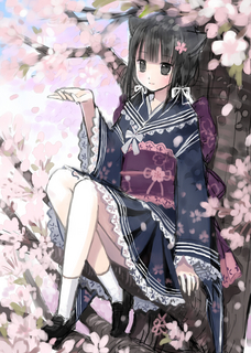 sakura_rough07.jpg
