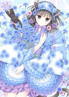 yagurumagiku_rgb25.jpg