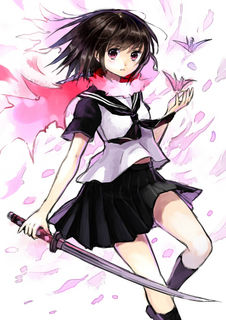 yamotosan25p.jpg